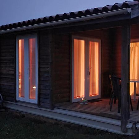 Les Chalets D Hermine Montredon-Labessonnie Экстерьер фото